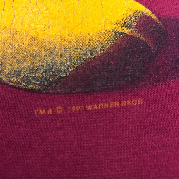 90s Tweety Bird Hoodie - Picture 6 of 6